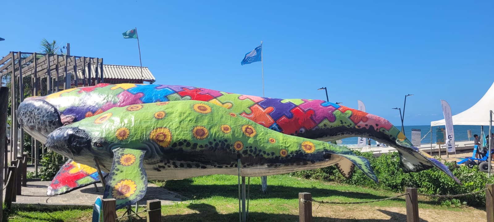 arquivo balneario picarras 4